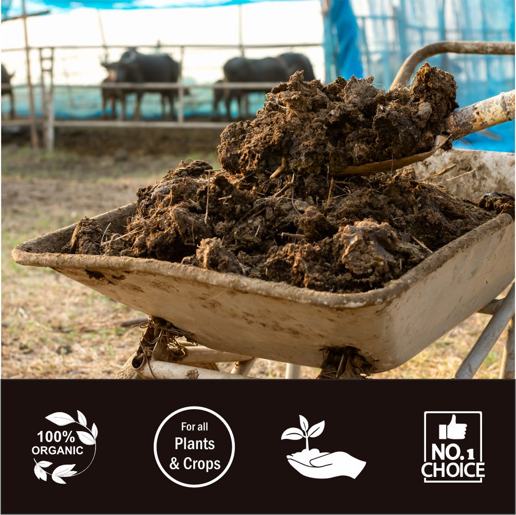 Raita Mitra Cow Dung Manure | 100% Natural Manure for Healthy Plant Growth & Soil Enrichment