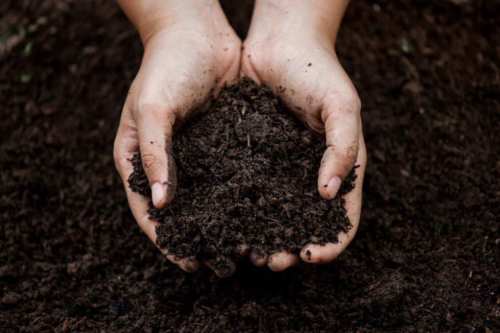 Raita Mitra Organic compost for Healthy Plant Growth | 5Kg | Nutrient-Rich Compost for All Plants