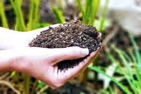 Raita Mitra Organic compost for Healthy Plant Growth | 5Kg | Nutrient-Rich Compost for All Plants