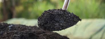 Raita Mitra Organic compost for Healthy Plant Growth | 5Kg | Nutrient-Rich Compost for All Plants
