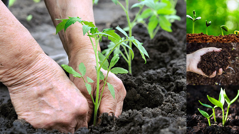 Raita Mitra Organic compost for Healthy Plant Growth | 5Kg | Nutrient-Rich Compost for All Plants