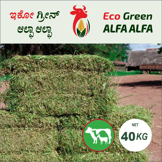 high-protein animal feed pellets