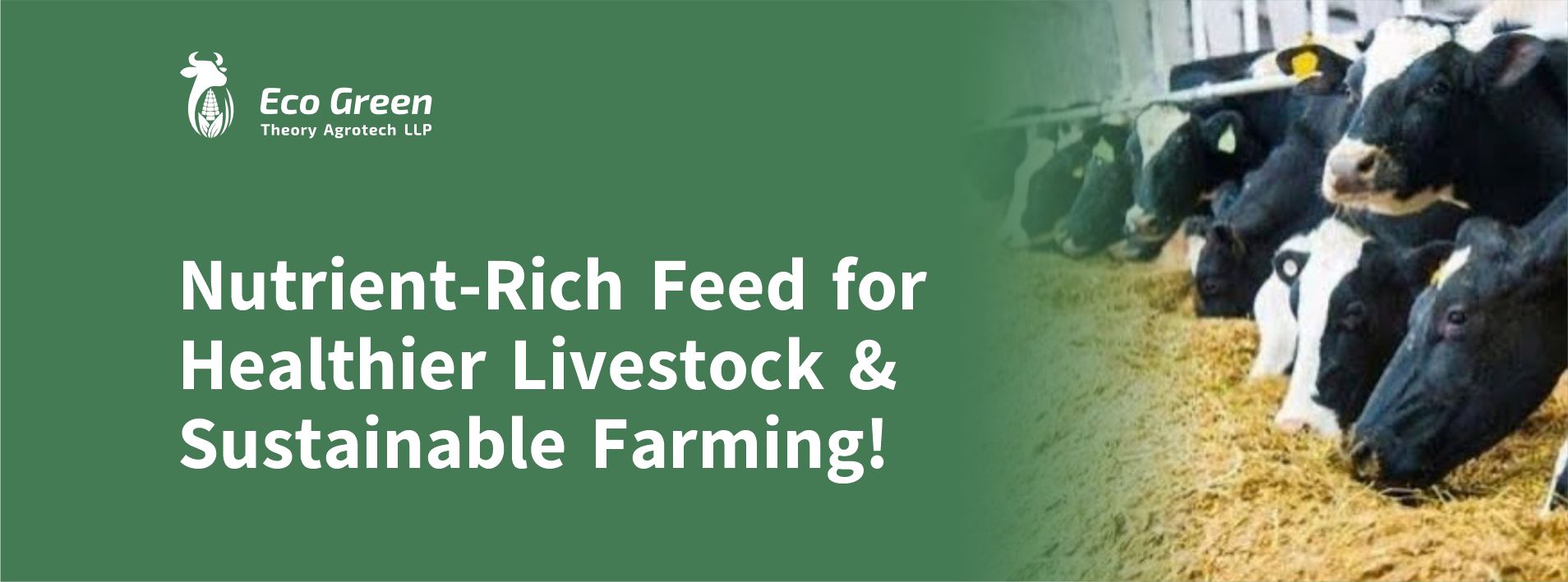 animal feed