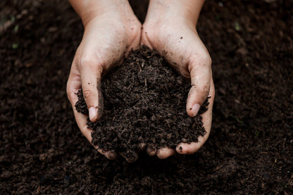 Raita Mitra Organic compost for Healthy Plant Growth | 5Kg | Nutrient-Rich Compost for All Plants
