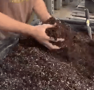 organic potting soil