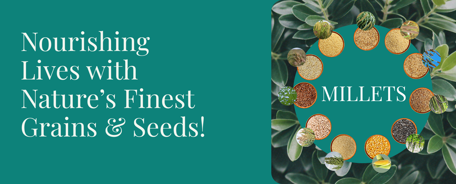 Buy millets online