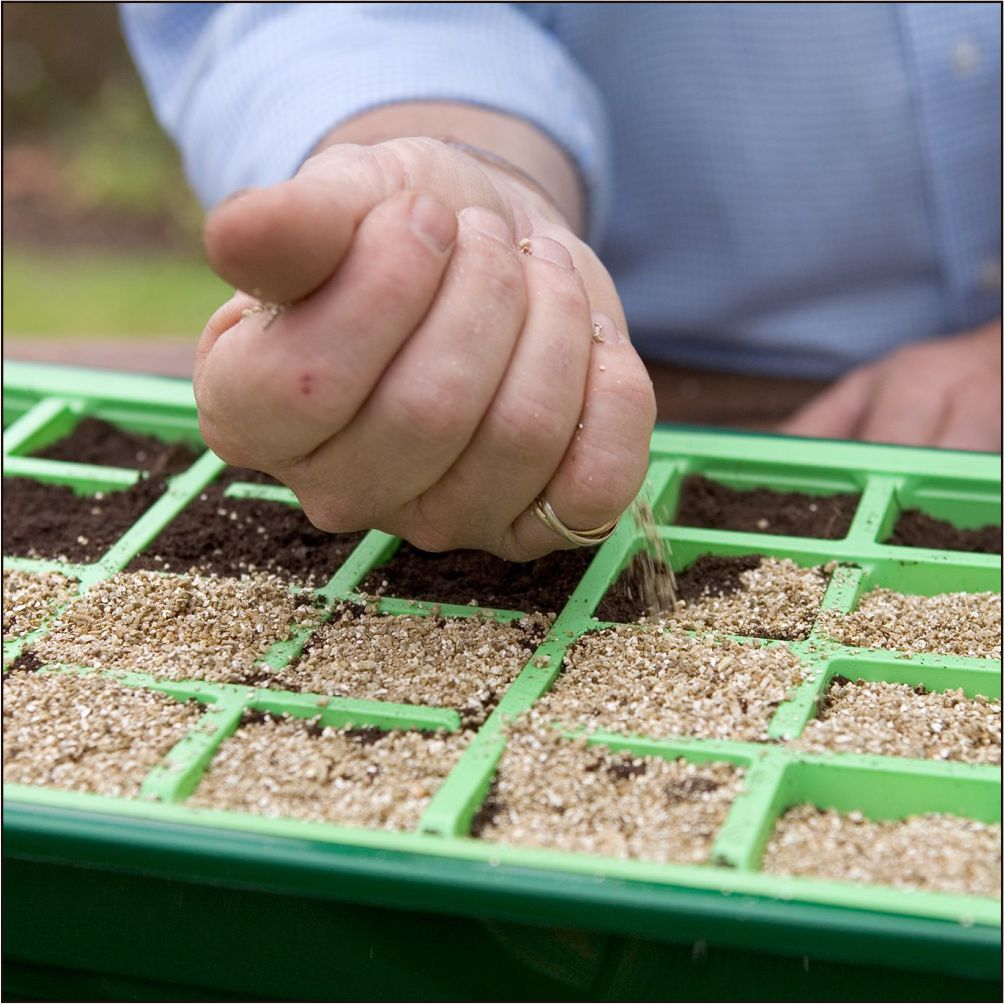 Buy vermiculite online India