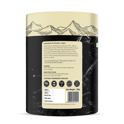 Box of Swarneo Himalayan Shilajit Gummies featuring natural energy-boosting ingredients in a convenient gummy form