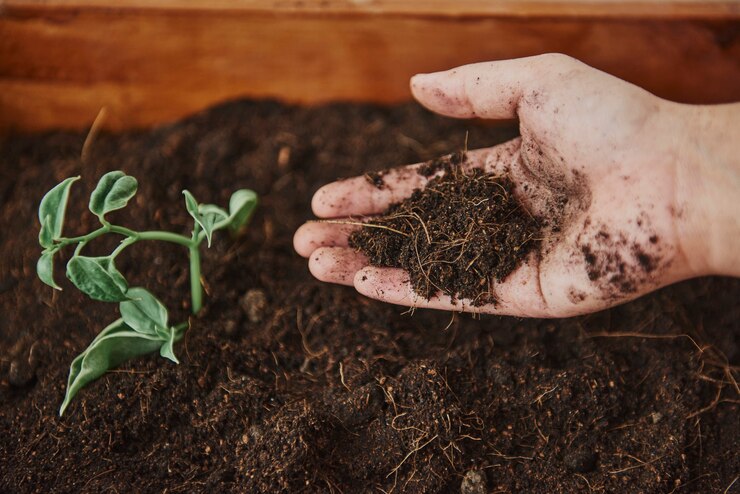 Raita Mitra Vermicompost  – 100% Natural & Organic Fertilizer for Plants | Nutrient-Rich Compost for Home Gardens | Enhances Plant Health, Water Retention & Soil Quality | Perfect for All Gardening Needs
